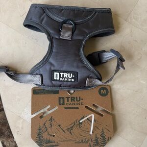 True & Co. Gray Dog Harness